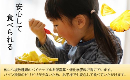 ポークロースのソテーハワイアンスタイル「パイナップルが味の決め手」