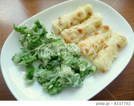 Y.Commy NoharaMugwort Tempura よもぎの天ぷら.⠀ .⠀homemadecookingathomemugworttempurawildplantjapanesefoodvegetarianveganhomecookingInstagram