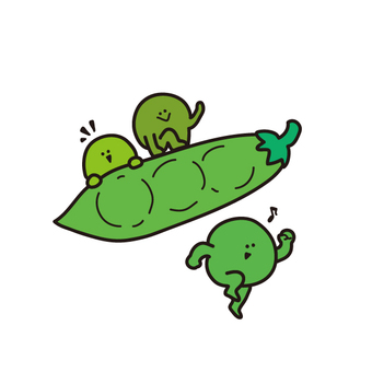 そら豆 写真素材3116540- フォトライブラリ