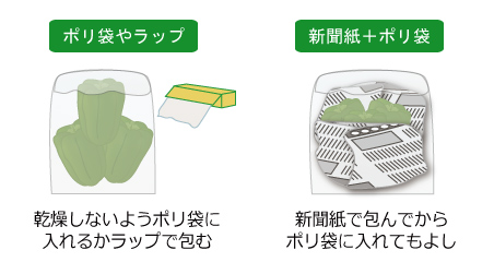 冷蔵・冷凍 ピーマンの保存方法。野菜ソムリエのアドバイスつき - macaroni