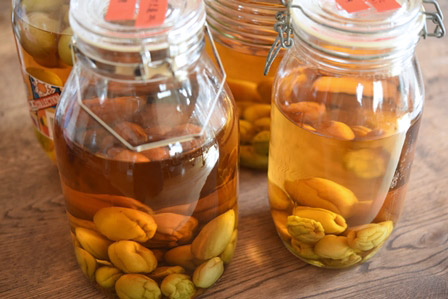 梅酒、梅を取り出した。フレミング２