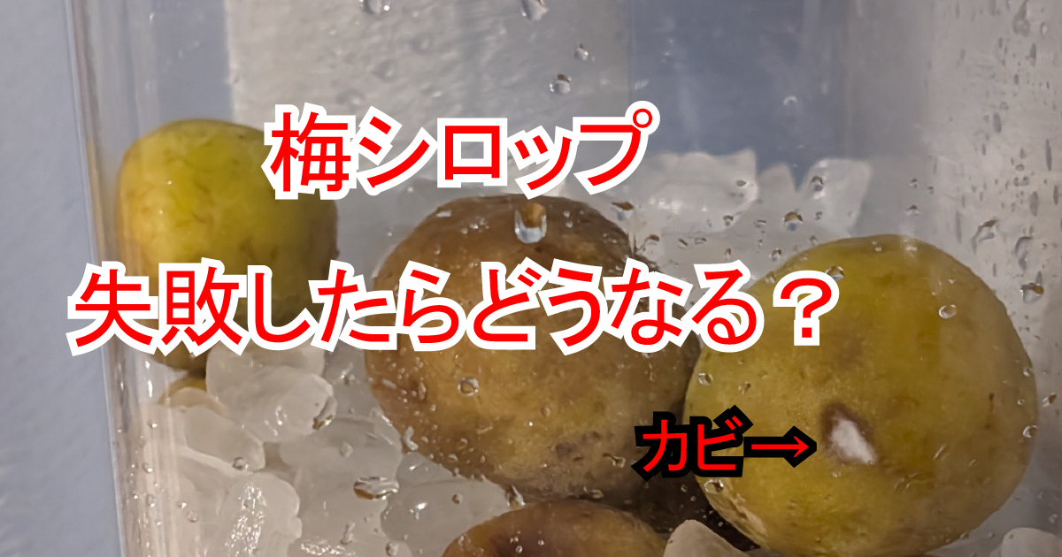 梅シロップから濁りと泡が！これって飲める？危険な場合の例まで解説 – シュフーズ
