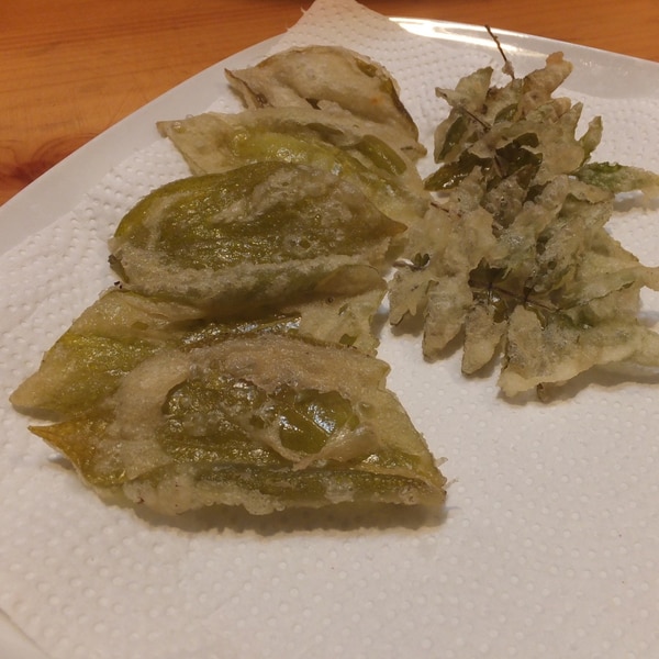 ヨドバシ.com - タクマ食品 深夜23時食堂 柿の種の天ぷら瀬戸内れもん味 5袋 通販 全品無料配達