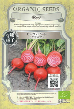 ビーツの収穫 - Ushidama Farm