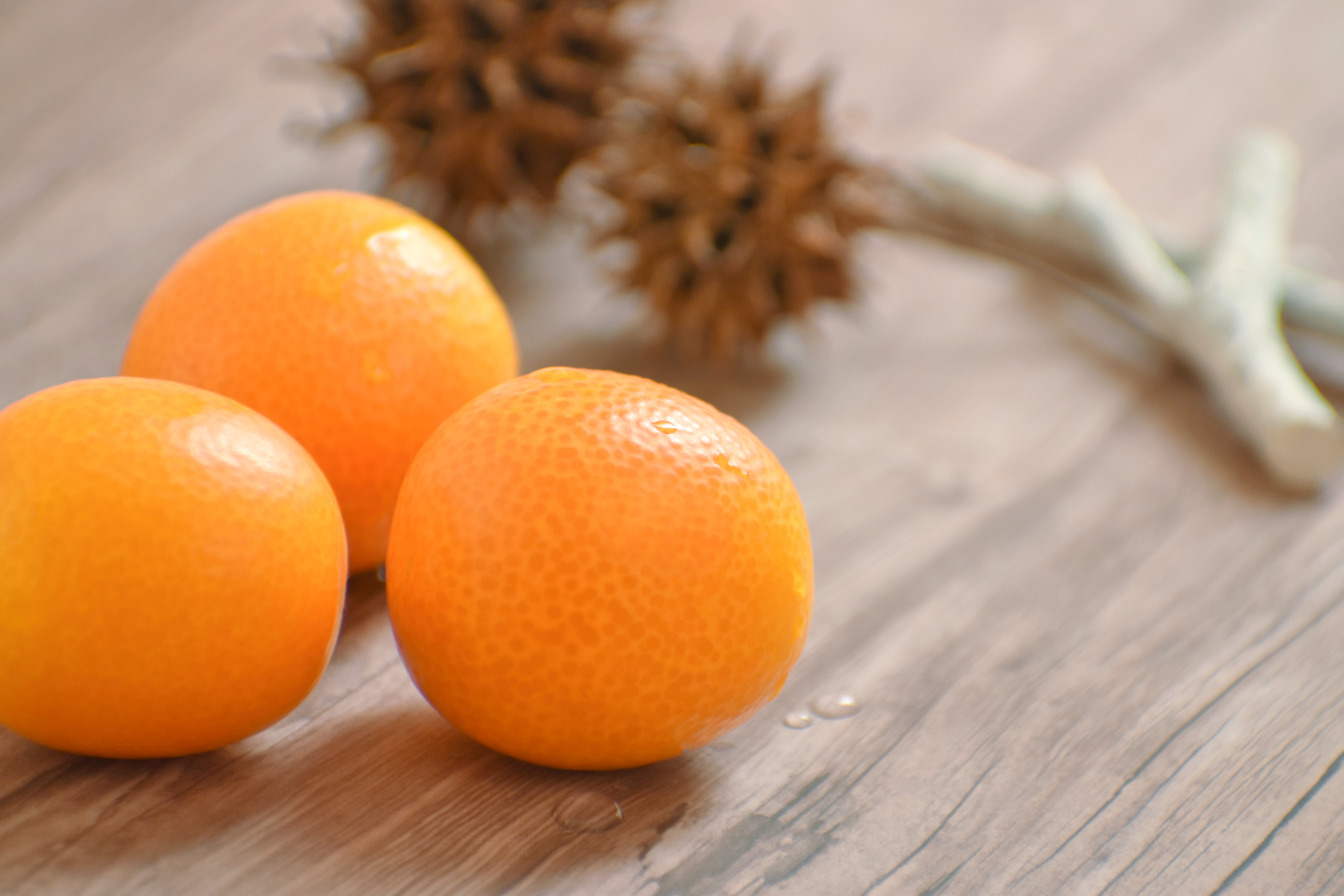 キンカン 金柑 の剪定③ 実を残しながら暴れた樹形を整える秋冬の手入れ 2022年11月 🌳👍