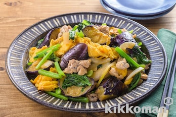 今日の夕飯は何にする？ご飯がすすむ肉おかずに決まり！フーディストノート