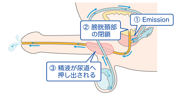 大迫力主観メンエス5@和服美人】手コキ射精／撮影流出／絶対に射精してはいけない健全店に現れるは色気漂うベテラン講師♡妖艶なオトナの全身施術に水没w - 