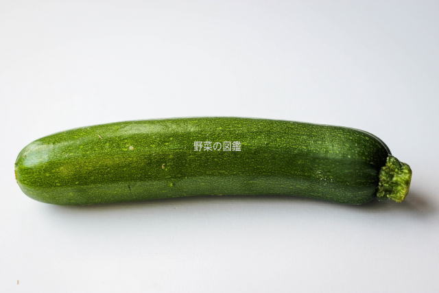 ウリ科の夏野菜を徹底解説！きゅうり、青瓜、冬瓜、ゴーヤ、ズッキーニ、かぼちゃ青空市場