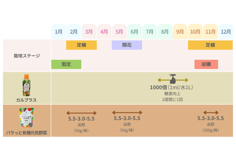 キウイ植え付け時期の決定版：苗選びから収穫までの完全ガイド