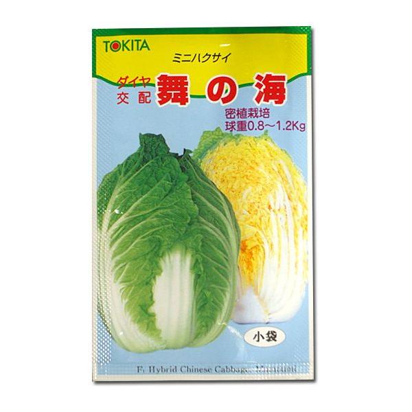 極早生ハクサイ 種 『サラダ白菜』 丸種 20ml タキイ種苗のハクサイ お黄にいり 球重600ｇのミニハクサイ！黄芯で極早生！商品詳細家庭菜園用種苗を多数取り扱っているよしなりサンガーデン