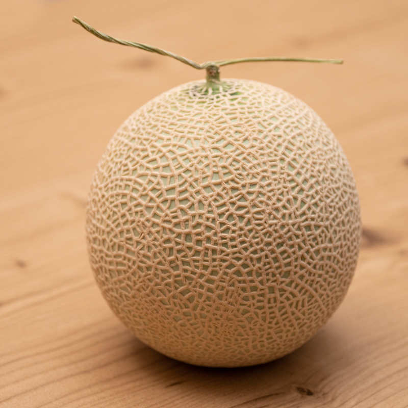 メロンを冷蔵庫に入れてしまった場合でも美味しく食べる方法！保存方法や食べ頃の見極めナニログ