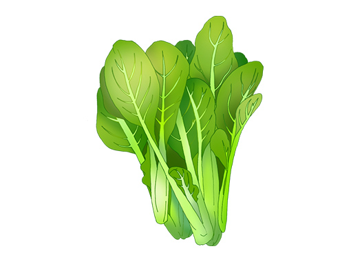 小松菜 こまつな と薄揚げの煮物」お母さんの味・昭和の和食レシピ保育園・幼稚園専門の給食委託会社株式会社富喜屋