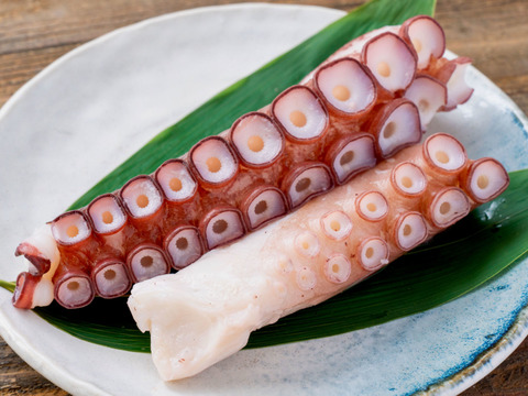 金楠・明石のゆでだこ一杯500g台、通販 販売の「特正」です