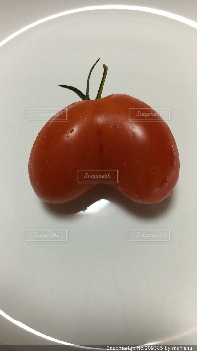 大島さんちのおもしろトマトヒロタリーのお店日記