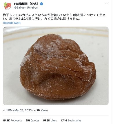 梅シロップにカビ発生 飲めるかどうかの見分け方! カビの原因&カビを防ぐポイントまで解説!しゅわしゅわブログ