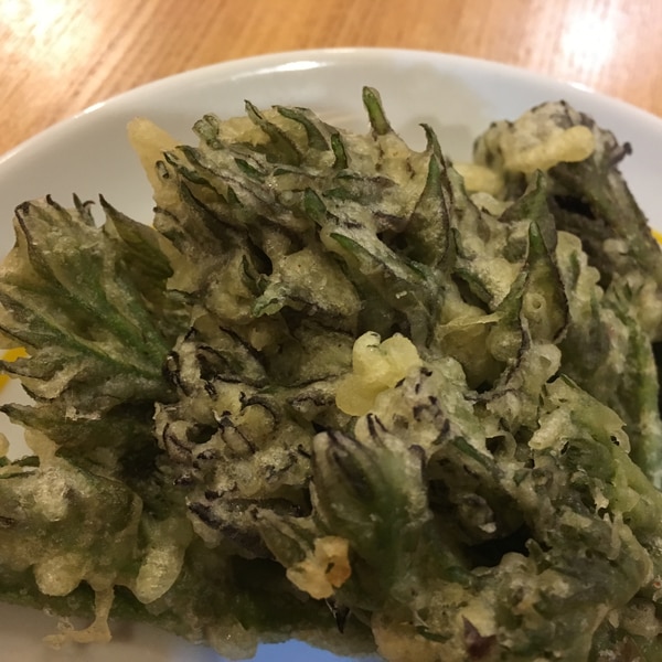 この差 たらの芽のチーズ焼き 2019 4 2知っ得レシピ