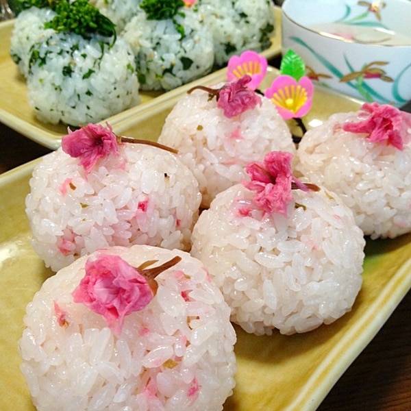 桜餡 和食と和菓子の材料処 天極堂プロ 本店てんぎょくどう 井上天極堂 業務用食材のオンラインショップ