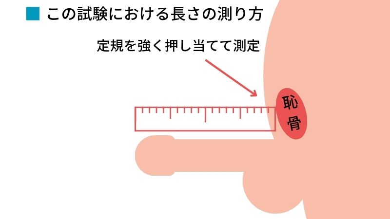 日本人の勃起時チン長は12cm弱！研究基づいたペニスの正確な長さ – メンズ形成外科