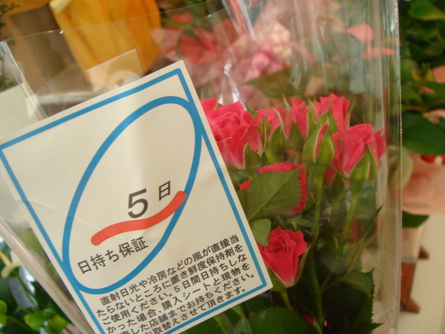 バラは何日くらい日持ちする?長持ちさせるコツを徹底解説!Flower Smith Market フラワースミスマーケット