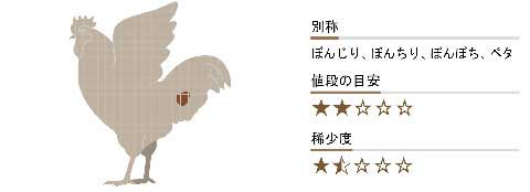 ぼんじりとぼんぼりはりねずみが眠るとき