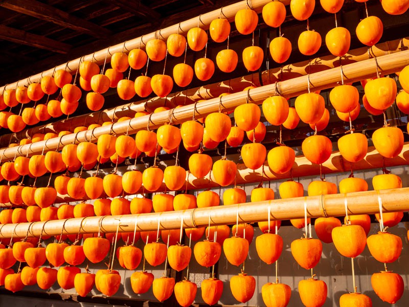 干し柿はなぜ渋柿から作られるか？豆知識三菱商事ライフサイエンスの「味な話」