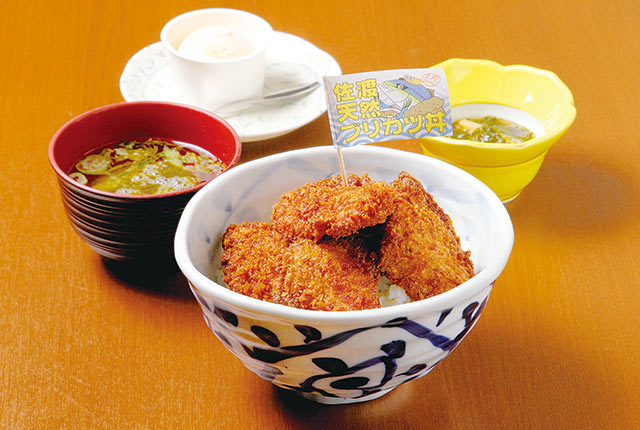 ブリカツくん 新潟県佐渡ブリカツ丼ＰＲ担当: ご当地ゆるキャラ一覧840体掲載