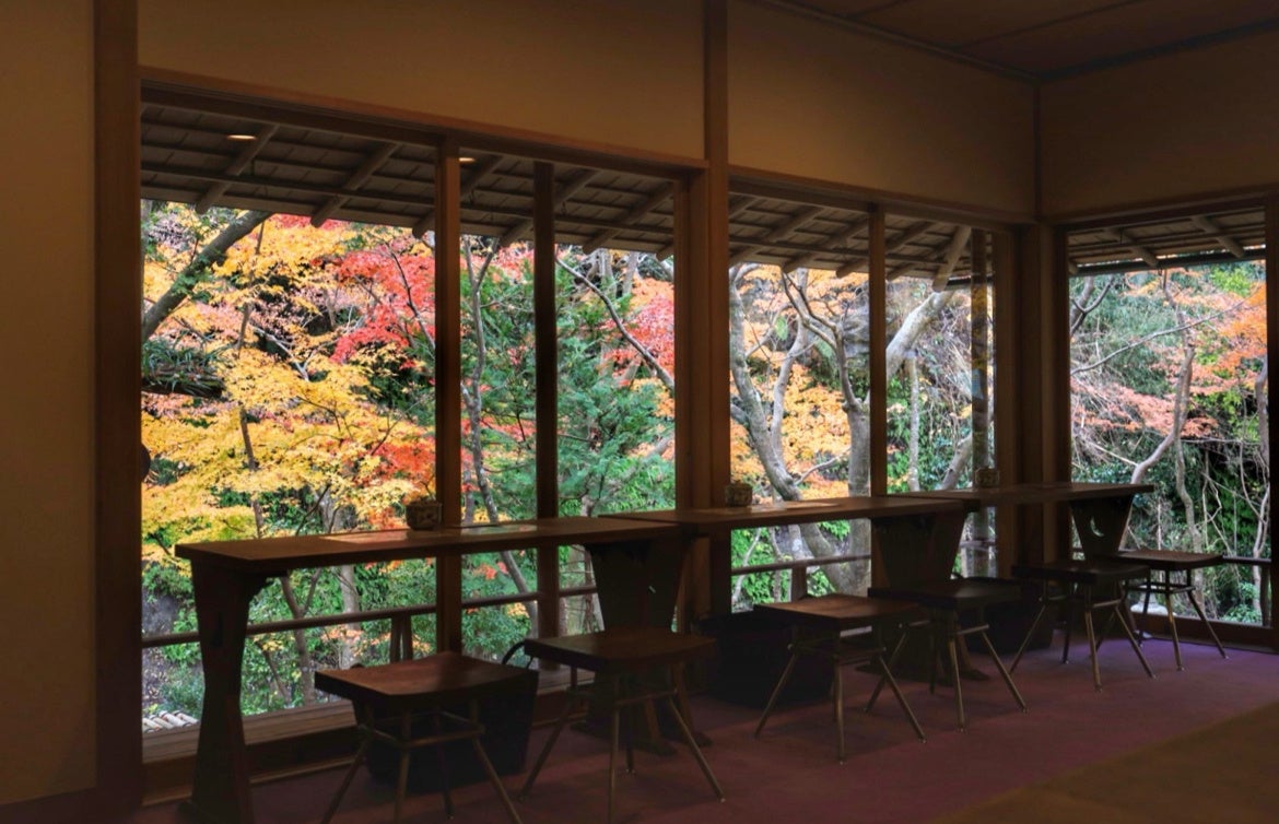 東白茶寮セット - 和 なごみ東白茶寮 食べるお茶スイーツ