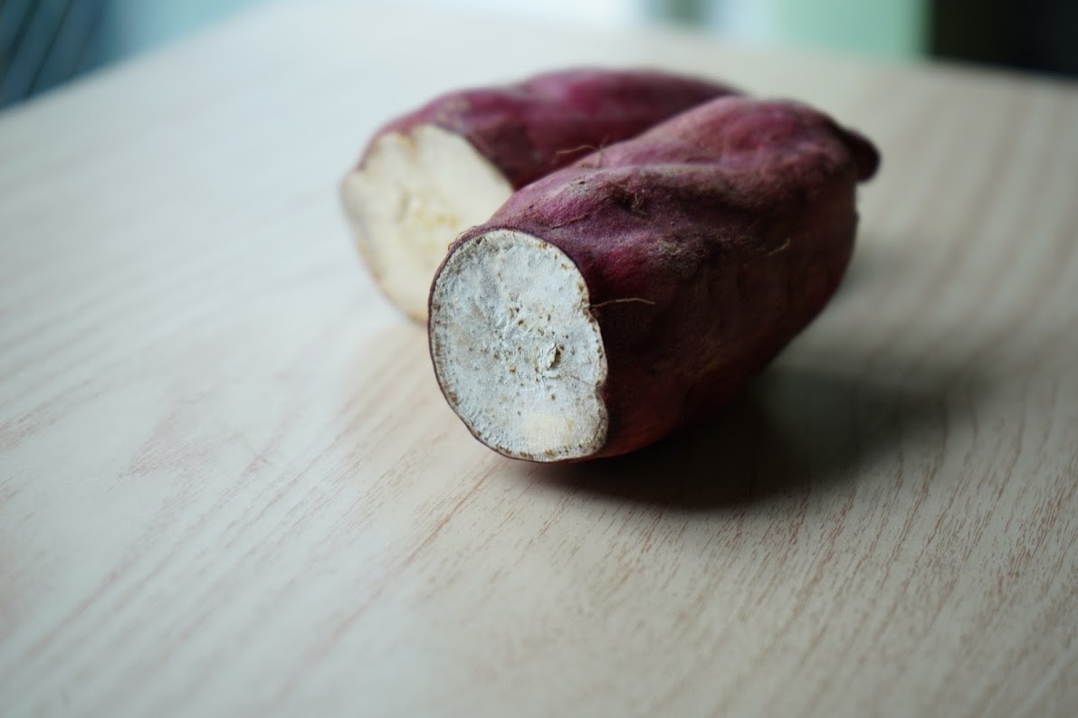 サツマイモ 甘藷 の黒斑病の防除方法定植前と貯蔵中の対策がカギ