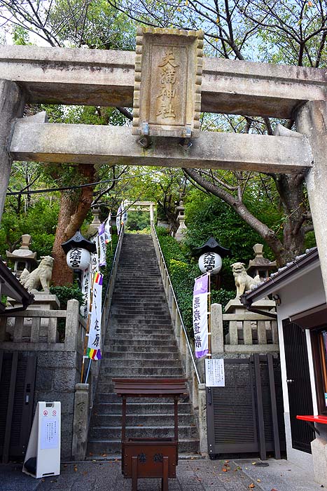 港町神戸が一望できる「天空の神社」でお花見はいかが？桜が満開です！【神戸市中央区】（ともみん） - エキスパート - Yahoo!ニュース