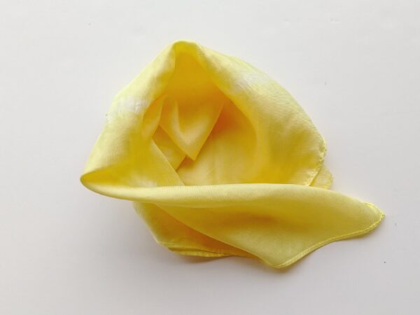 染色 玉ねぎの皮を使った草木染めで、チューリップハットを作成 – 斎藤麻里子WEB