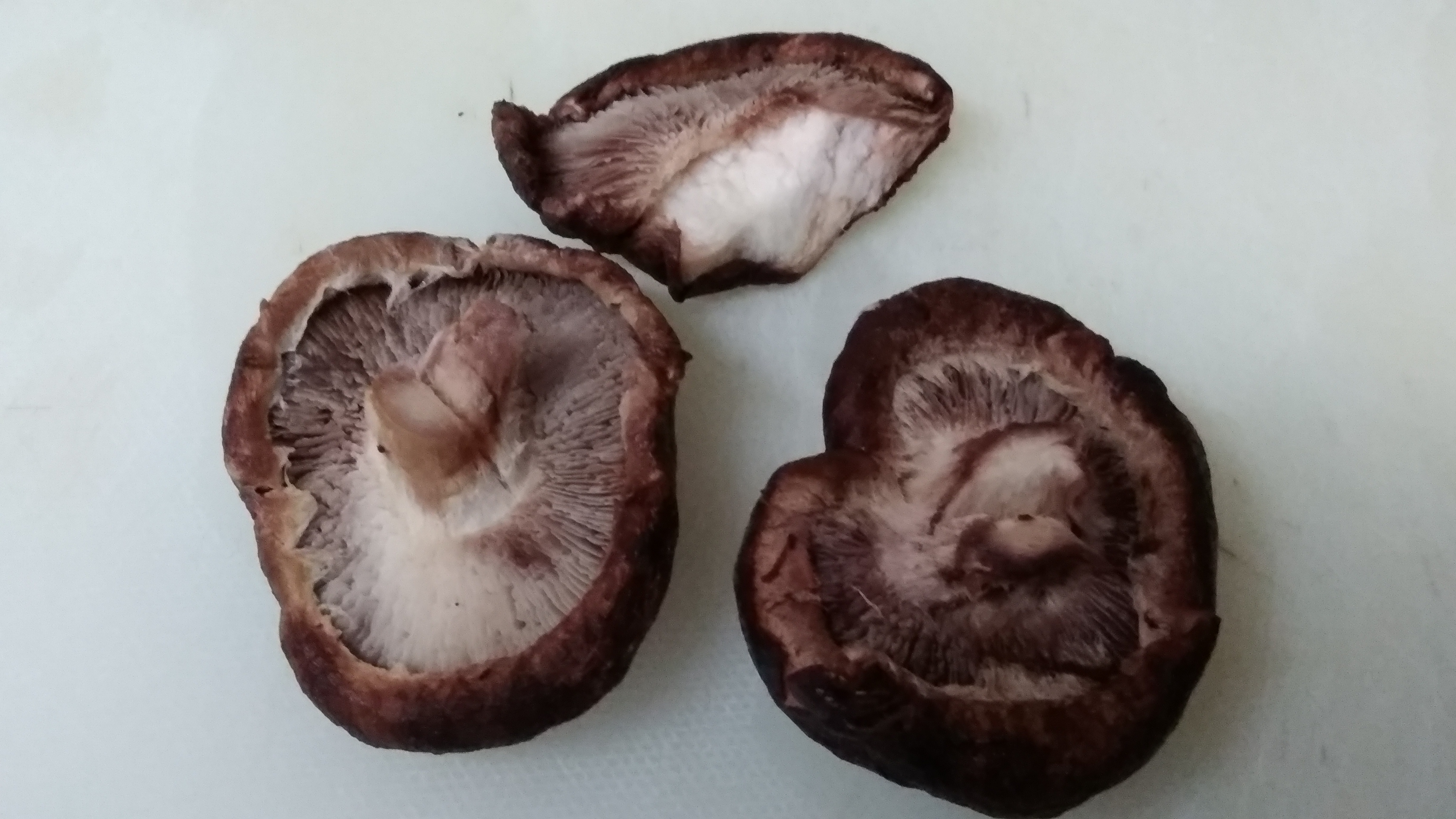 肉厚 生しいたけ 「香北そだち」1玉直径約6cm20個入高知県香美市ふるさと納税サイト「さとふる」