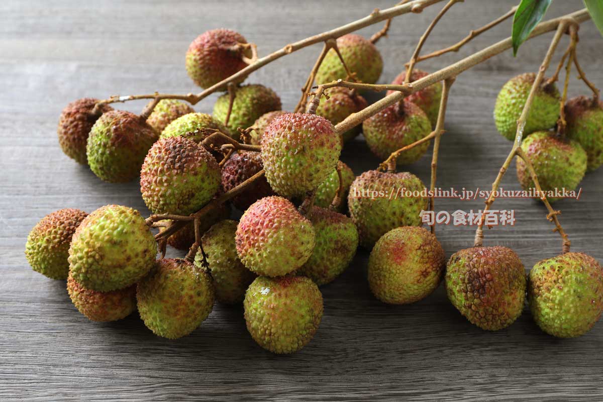 ライチとは育て方がわかる植物図鑑みんなの趣味の園芸 NHK出版