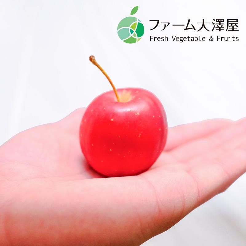 りんご飴の記事 新着情報 小國ことまち横丁 -遠州小國神社の新名所 静岡県森町