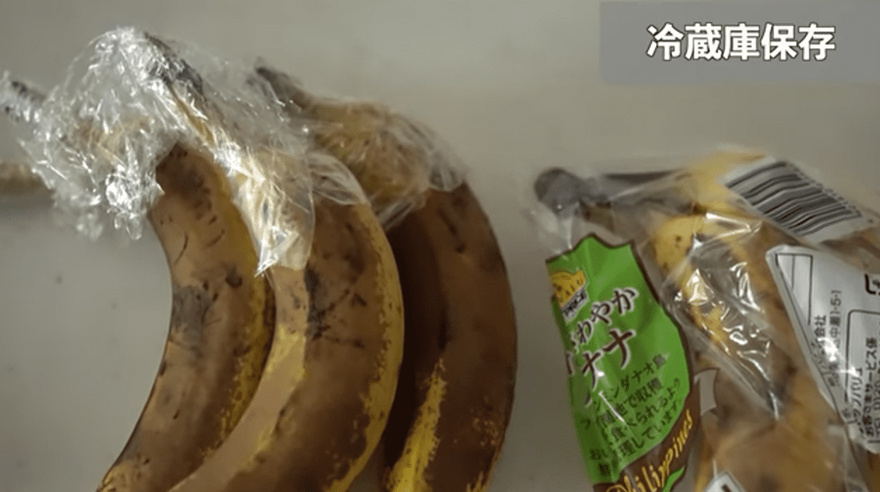 kigumi 冷蔵庫用バナナケース – PRiSM オフィシャルショップ