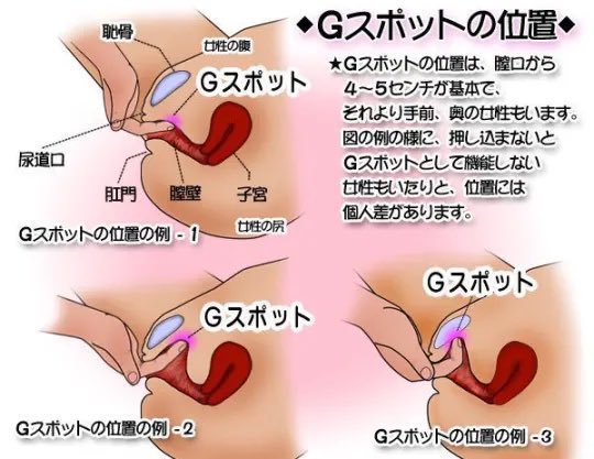 看護師が伝授！Gスポットの攻め方！ガシガシするのはNG！？ – メンズ形成外科 | 青山セレス&船橋中央クリニック