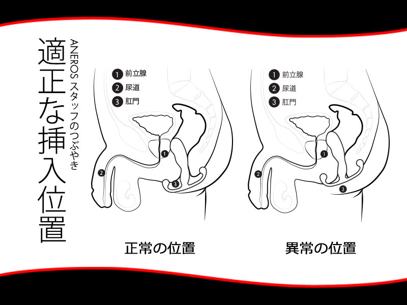 前立腺オナニーとは？気持ちいいやり方と開発方法！ | inbee【インビー】