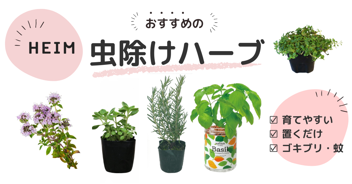 人気のハーブやスパイスの使い方♪ハーブ好きに聞いた活用法45選楽しむ・学ぶ養命酒製造株式会社