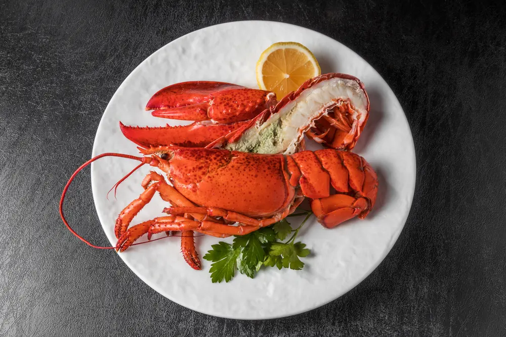 旬の伊勢えびを味わえる全国の祭りに行こう！ 首都圏発 │近畿日本ツーリスト