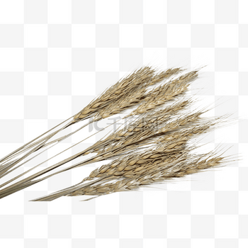 黄金沸腾，全球资本竞相“扫货” - 21财经