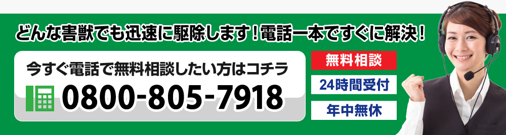 身体がバキバキなパチ屋店員の踊り