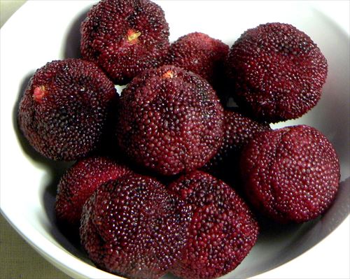 中国の果物図鑑 日本ではレア物も？蟠桃・ライチから謎の果実まで種類・食べ方・旬を徹底解説！中国語勉強の教材