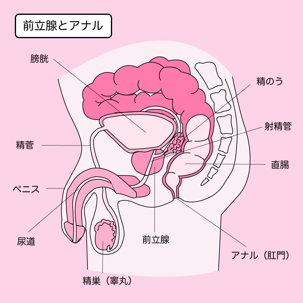 男性のためのタトゥー: 股間のデザイン