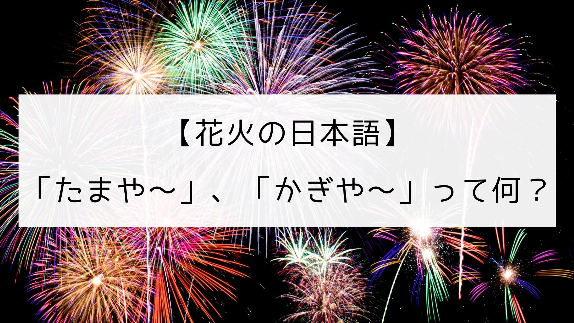 イドラ鎌倉店】たーまやー！！って実際に言った事は無い | イドラ鎌倉店の日常ブログ