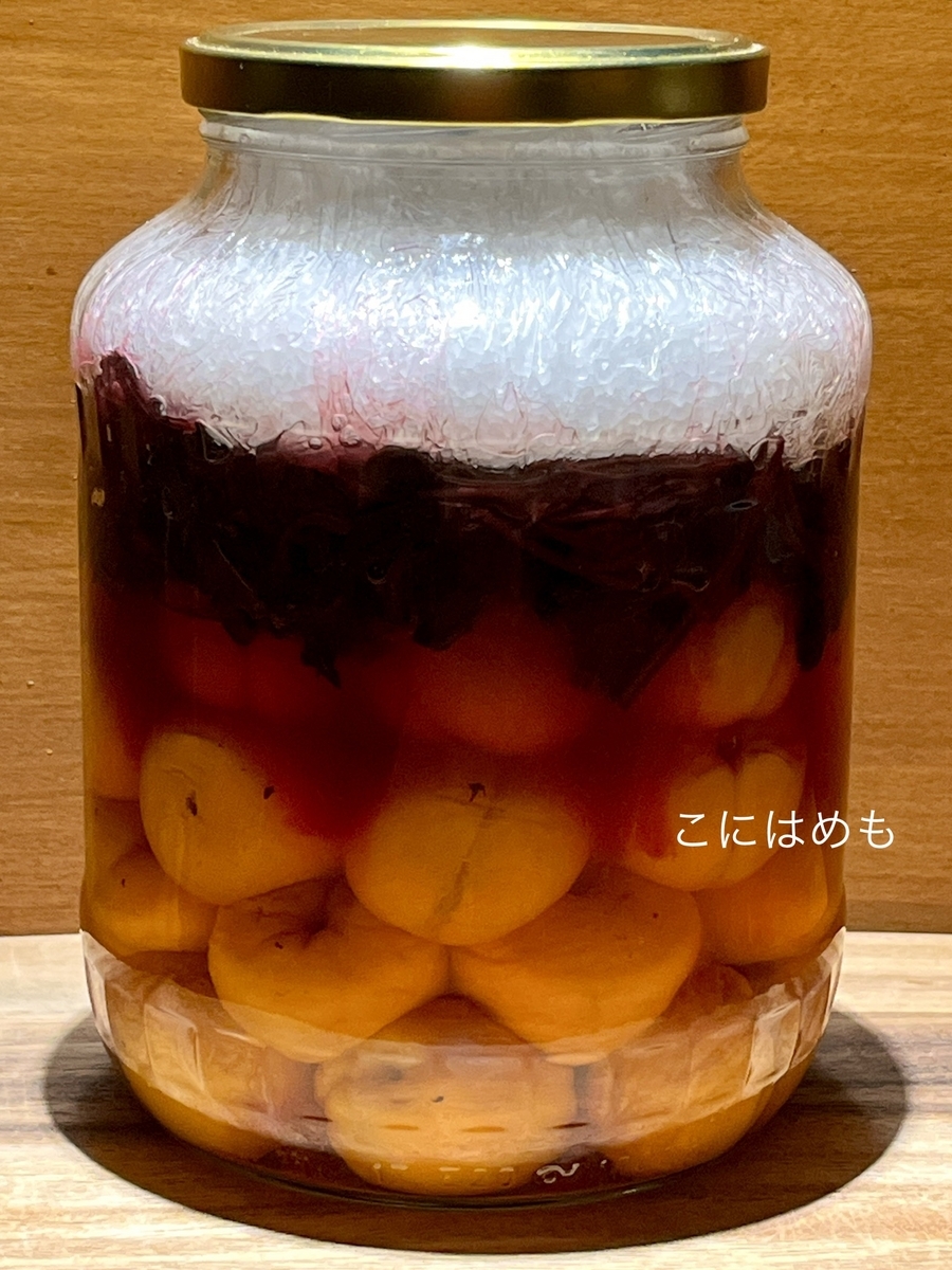 梅干しの作り方＜赤紫蘇漬け＞編