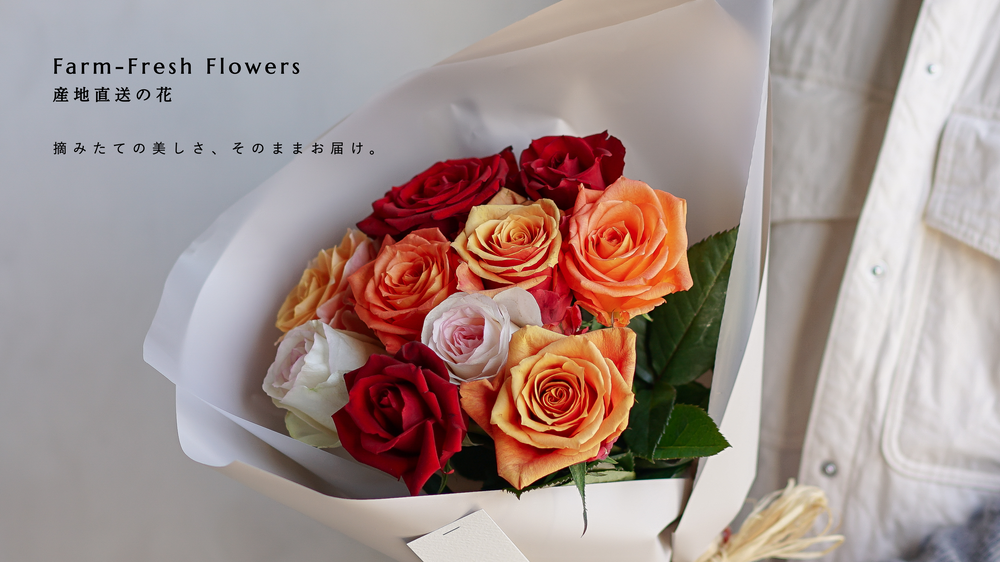 花のある生活・20本入り簡易包装農家直送チューリップ よねだ農園