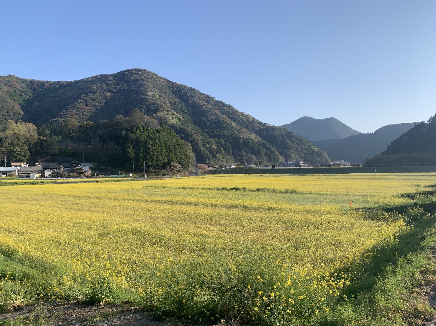 大入島食彩館 | 観光スポット