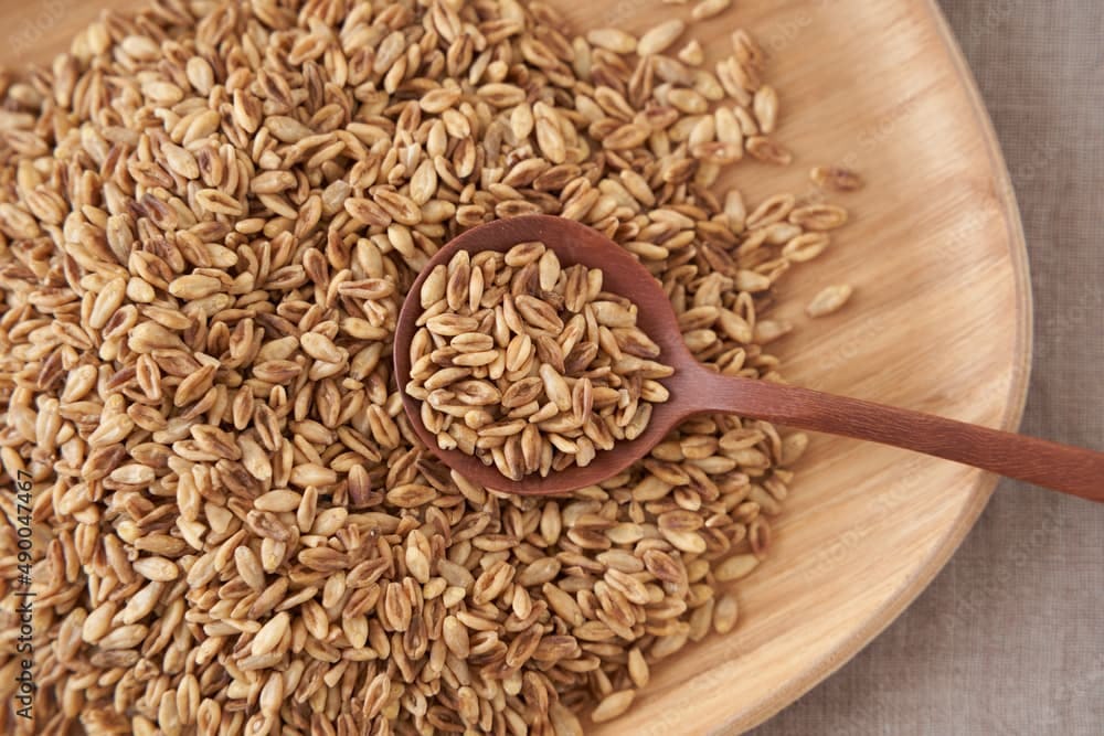 特価◎即日☆ ドライ 大麦 約50gDN000005 - 花材通販はなどんやアソシエ