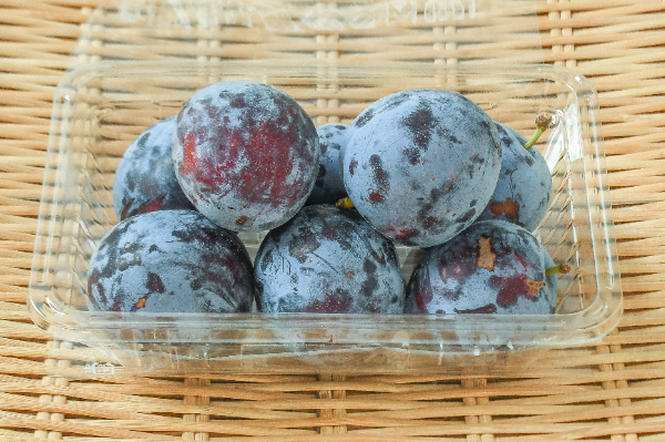 種抜き大粒プルーン≪800g≫の通販ドライフルーツ・ナッツの専門店