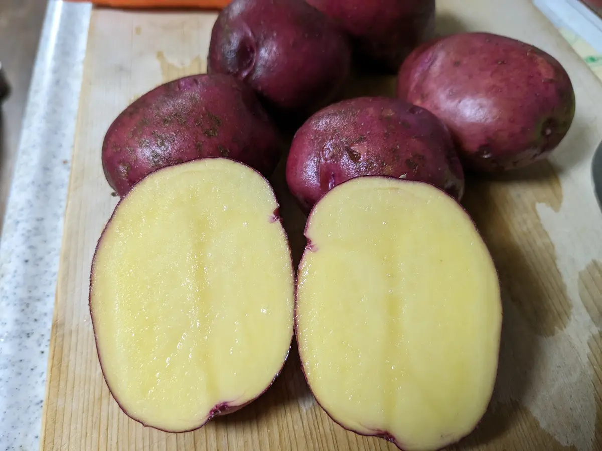 赤いじゃがいも レッドムーン 10kg 北海道産 送料無料 -スイートベジタブルファクトリー - プレゼント＆ギフトのギフトモール