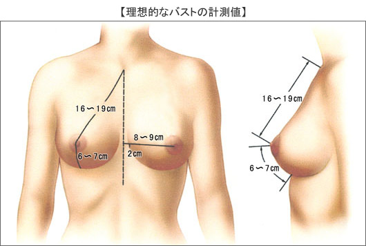 爆乳 乳輪のエロ動画 22329件